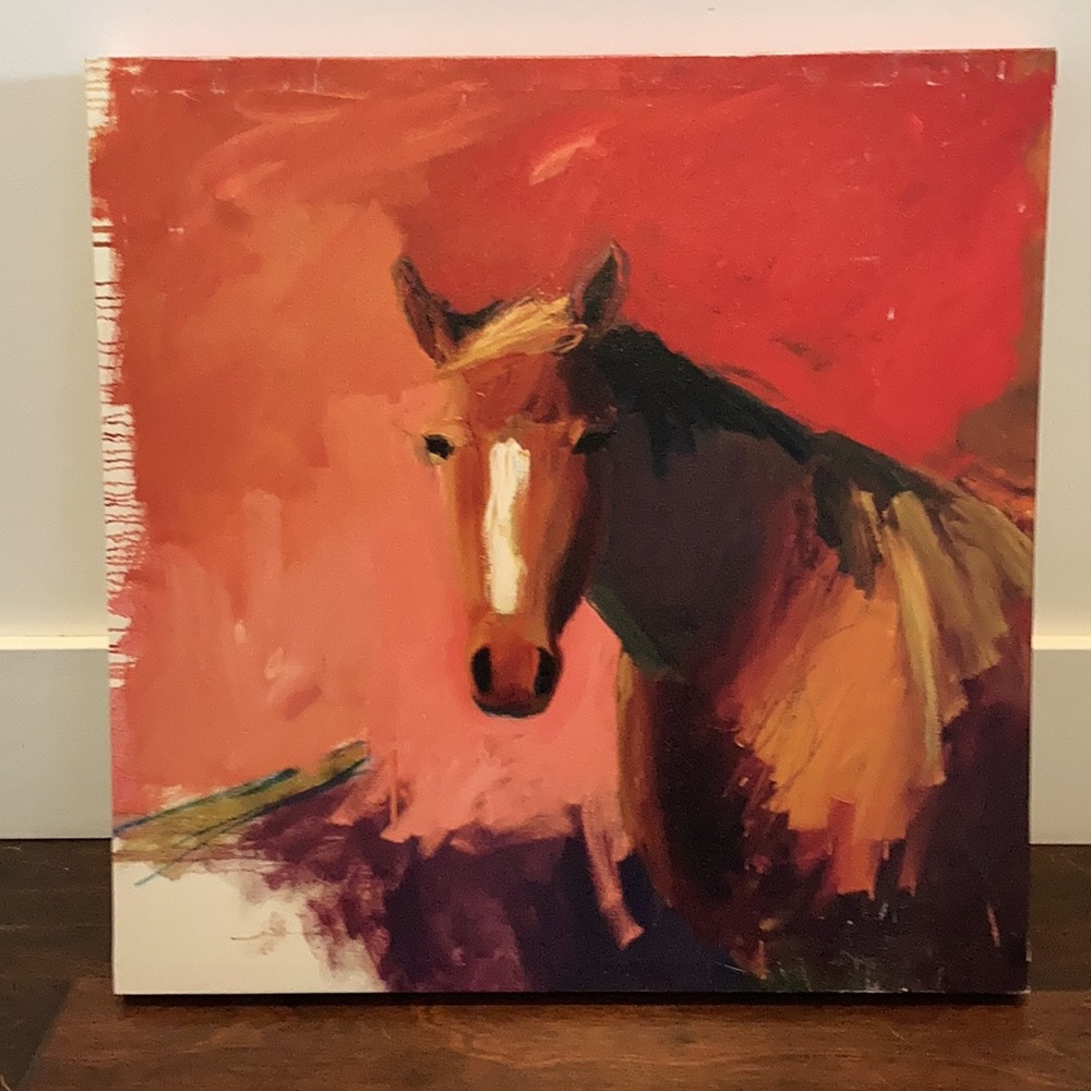 Horse canvas print 22x22 inches